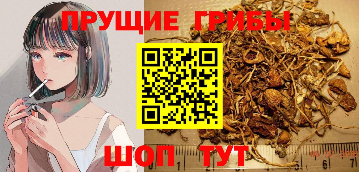 Псилоцибиновые грибы мицелий  Галлюциногенные грибы Psilocybine cubensis  Вход с VPN  Луга 