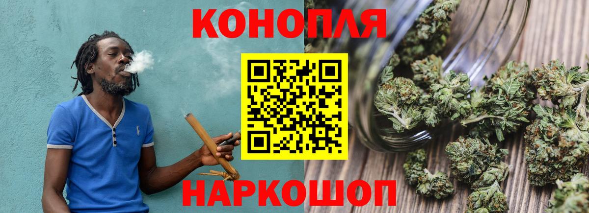Канабис сатива Луга